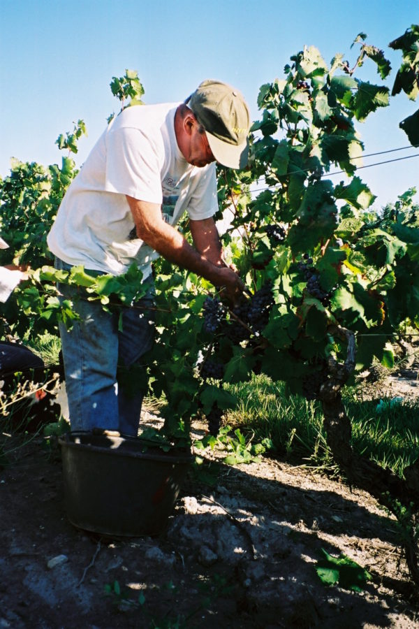 Vins Boutique Les Vignerons De Tavel Lirac